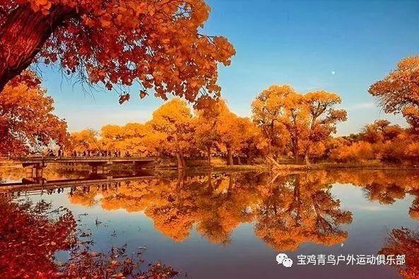 一旦生育率持续下降，未来的世界会是怎样的？游戏画面